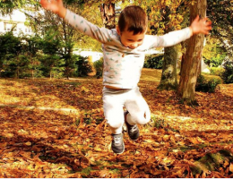 activites-automne-enfant