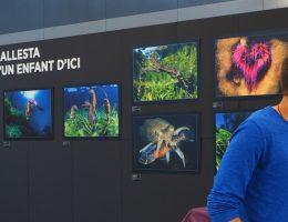 visite-expo-laurent-ballesta-famille-montpellier
