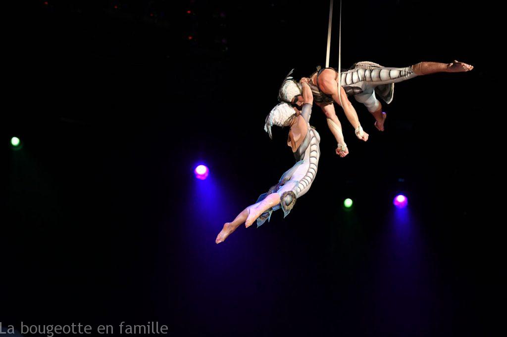Cirque-du-Soleil-OVO-Aerial-Straps