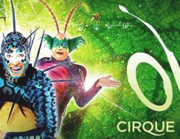 cirque-du-soleil-spectacle-ovo-montpellier
