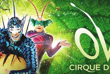 cirque-du-soleil-spectacle-ovo-montpellier