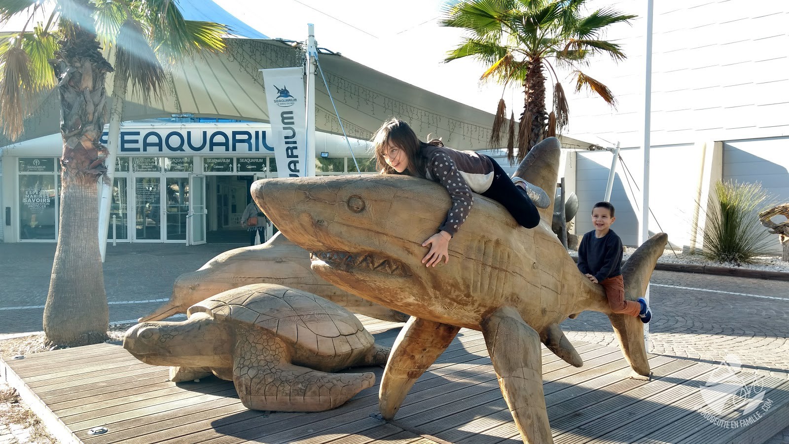 Seaquarium du Grau du Roi avec les enfants La bougeotte en famille Seaquarium du Grau du Roi avec les enfants La bougeotte en famille
