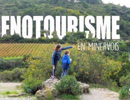 oenotourisme-minervois