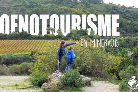 oenotourisme-minervois