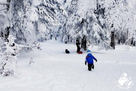 randonnée, famille, enfant, neige
