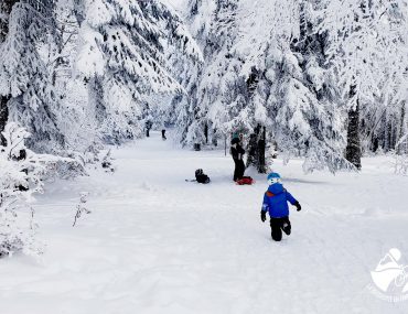 randonnée, famille, enfant, neige