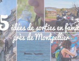 sortie, famille, enfant, montpellier, vacances